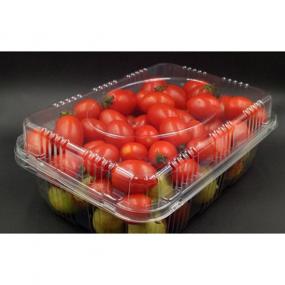 Rectangular fruit container with lid