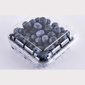 Blueberry container