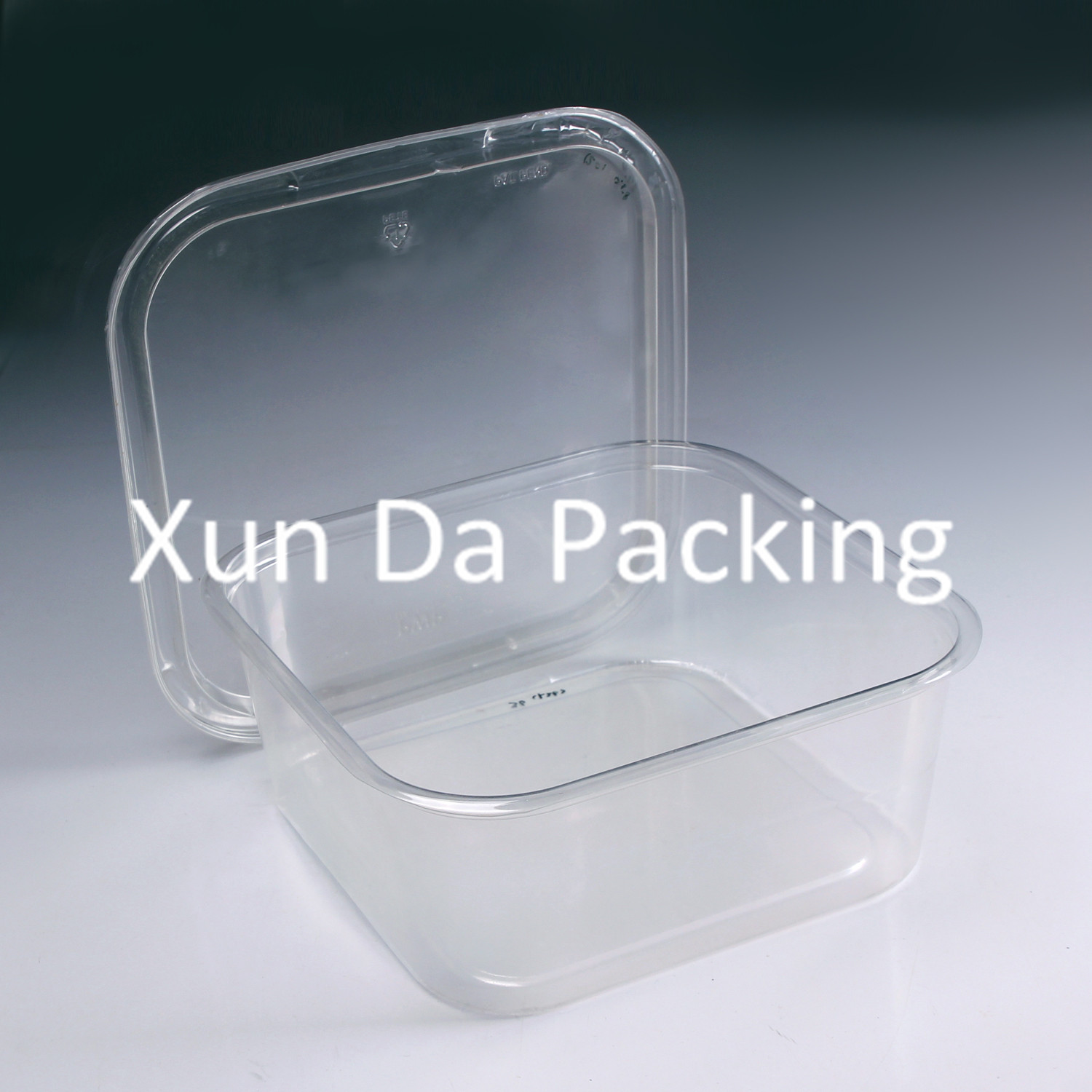 Clear Plastic Boxes For Food at Dwayne Freeman blog