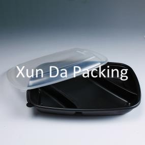 Disposable plastic PP food container