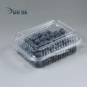 Plastic Blister Transparent Clamshell Fruit Box Packaging for 250g Blueberry